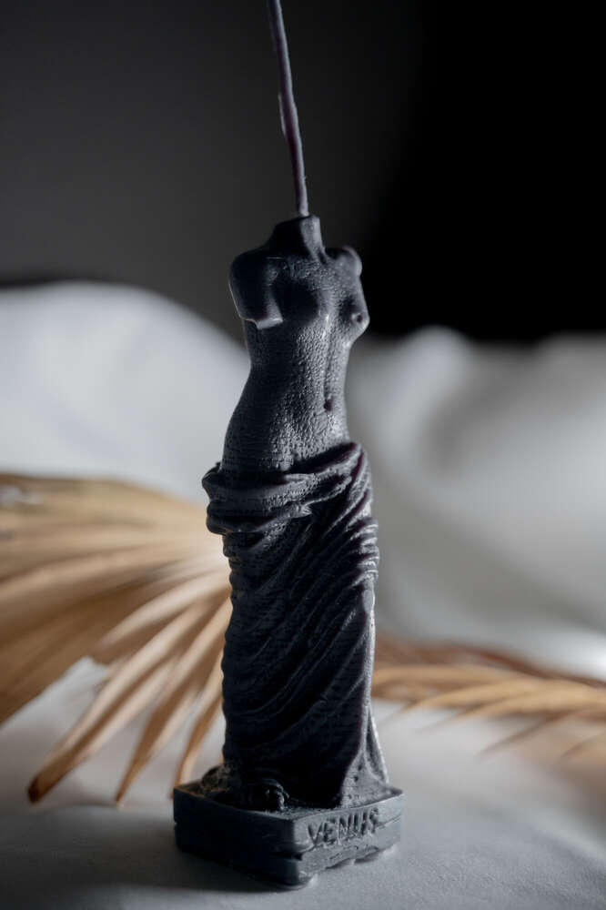 The Burning Venus (Elijah Ilić)