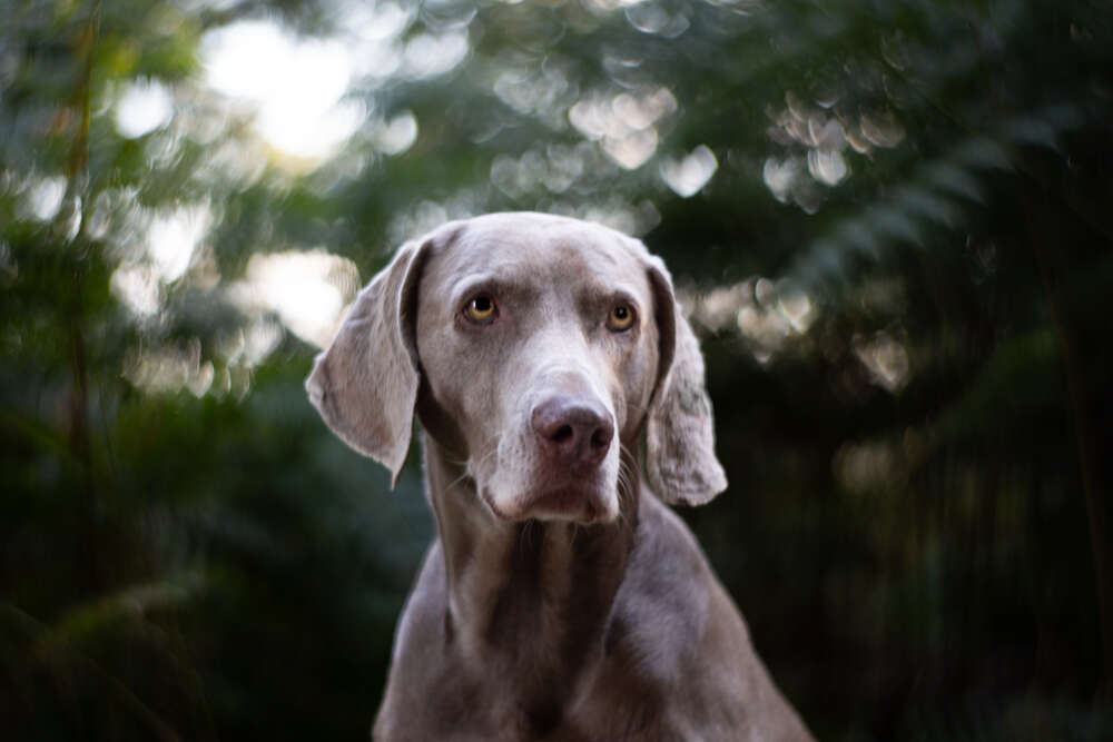 Thorsten Wolters (Thorsten Wolters)