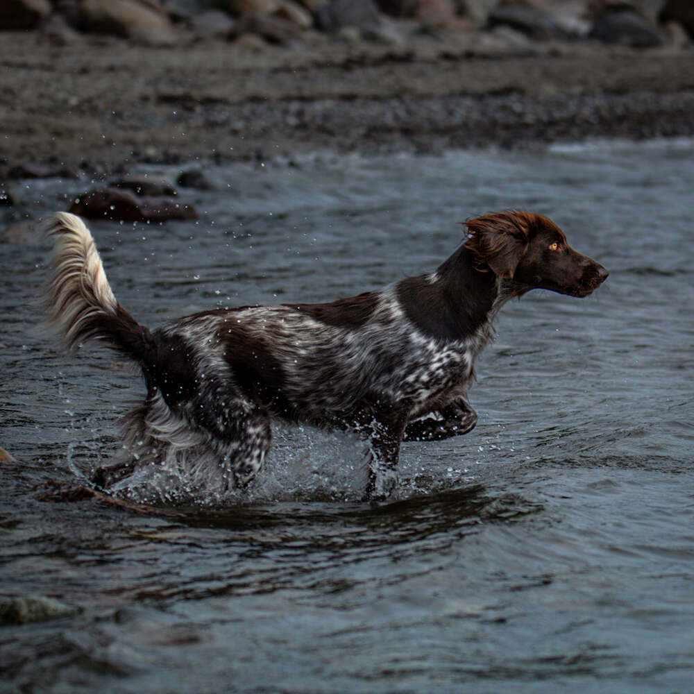 Thorsten Wolters (Thorsten Wolters)