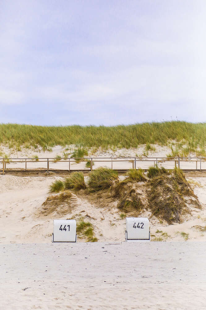 441, 442. (Soul Photography & Design)