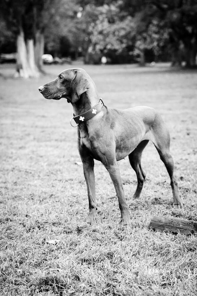 Mia.  (Soul Photography & Design)