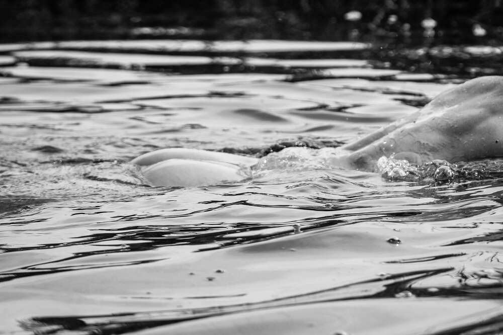 Soul Photography & Design