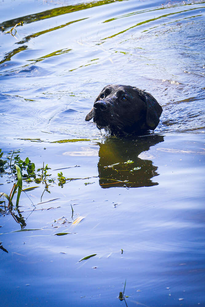 Abk&uuml;hlung. (Soul Photography & Design)