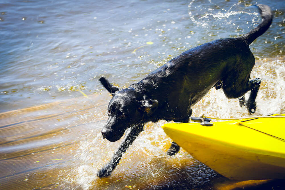 Kanufahrt. (Soul Photography & Design)