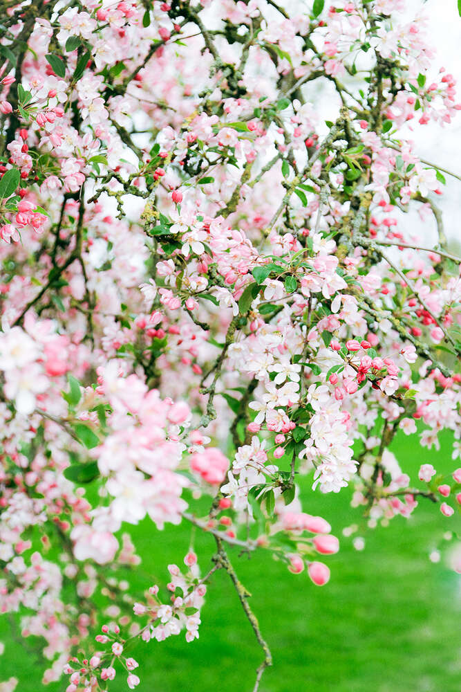 Neuanfang  (Soul Photography & Design)