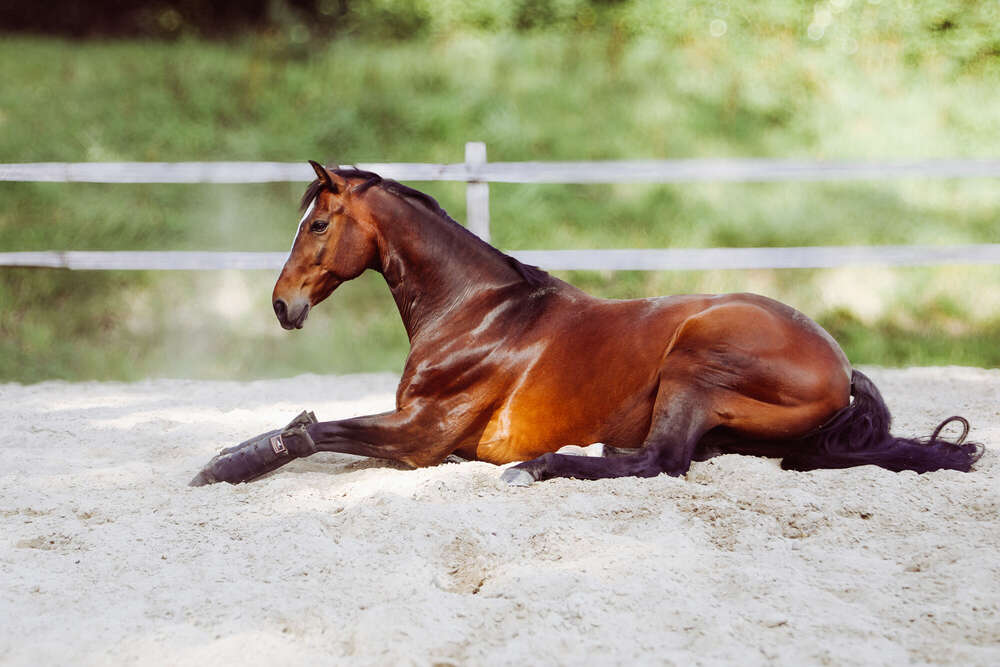 Soul Photography & Design (Soul Photography & Design)