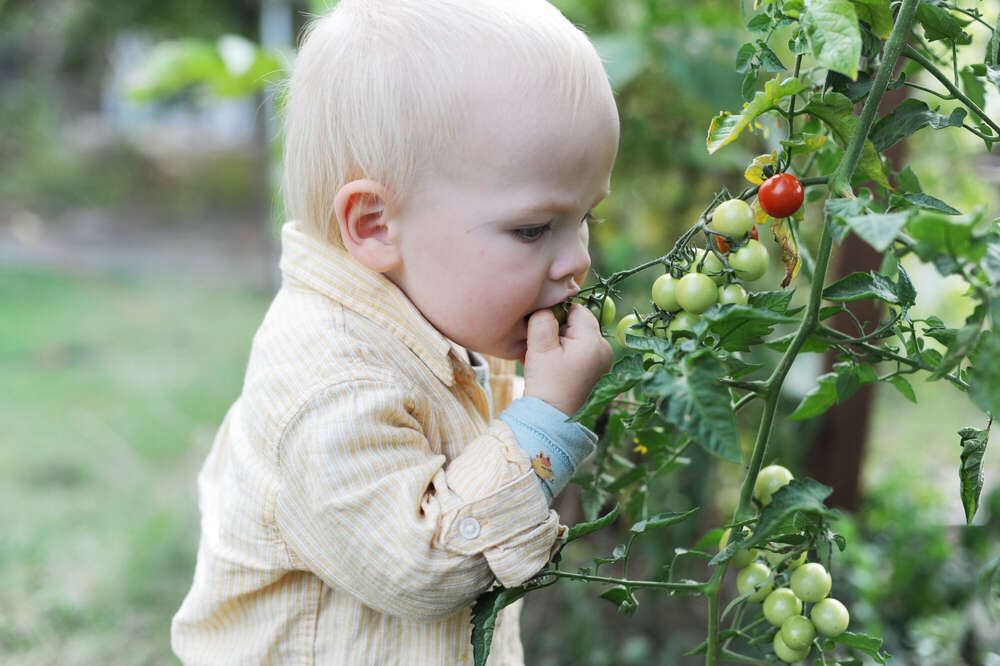Weltentdecker (Charlotte Jessen)