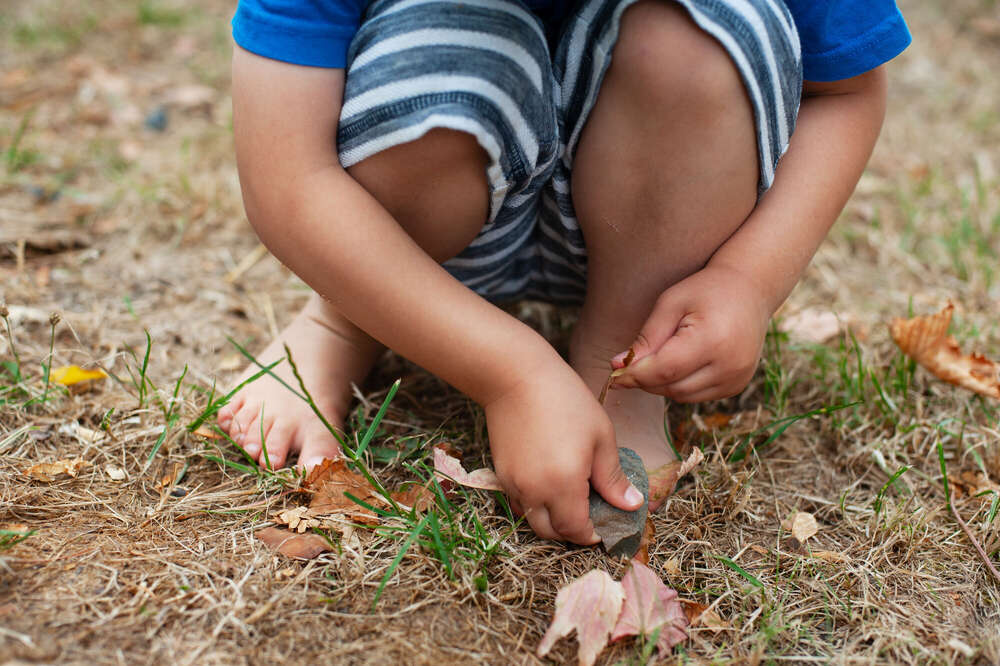 Der Herbst kommt (Charlotte Jessen)