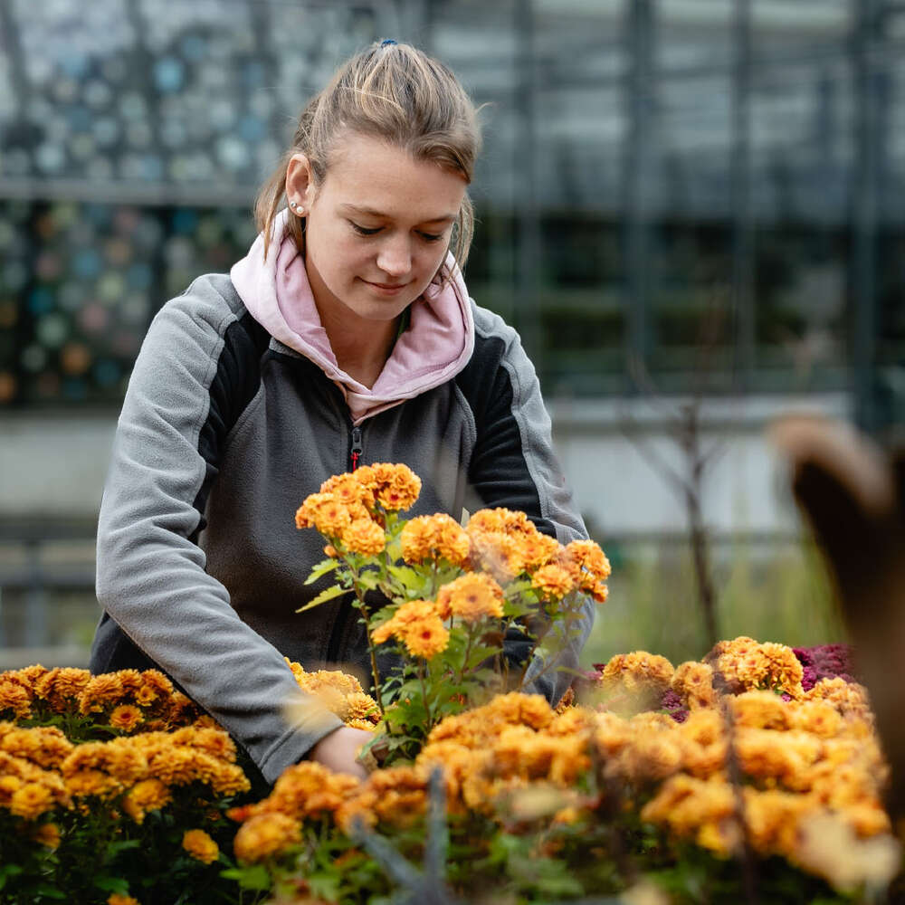 Mitarbeiterfoto Gärtnerei Sozial Thurgau (Andi Keller Fotografie + Film)