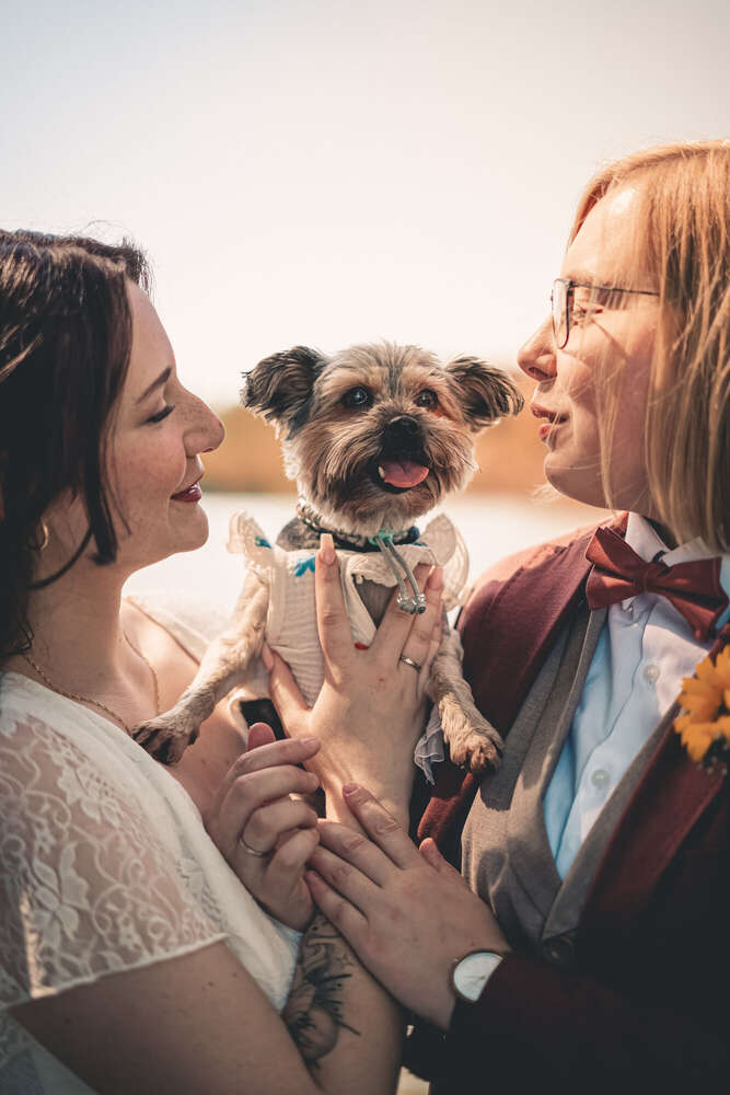 Dream Force Media (Dream Force Media)