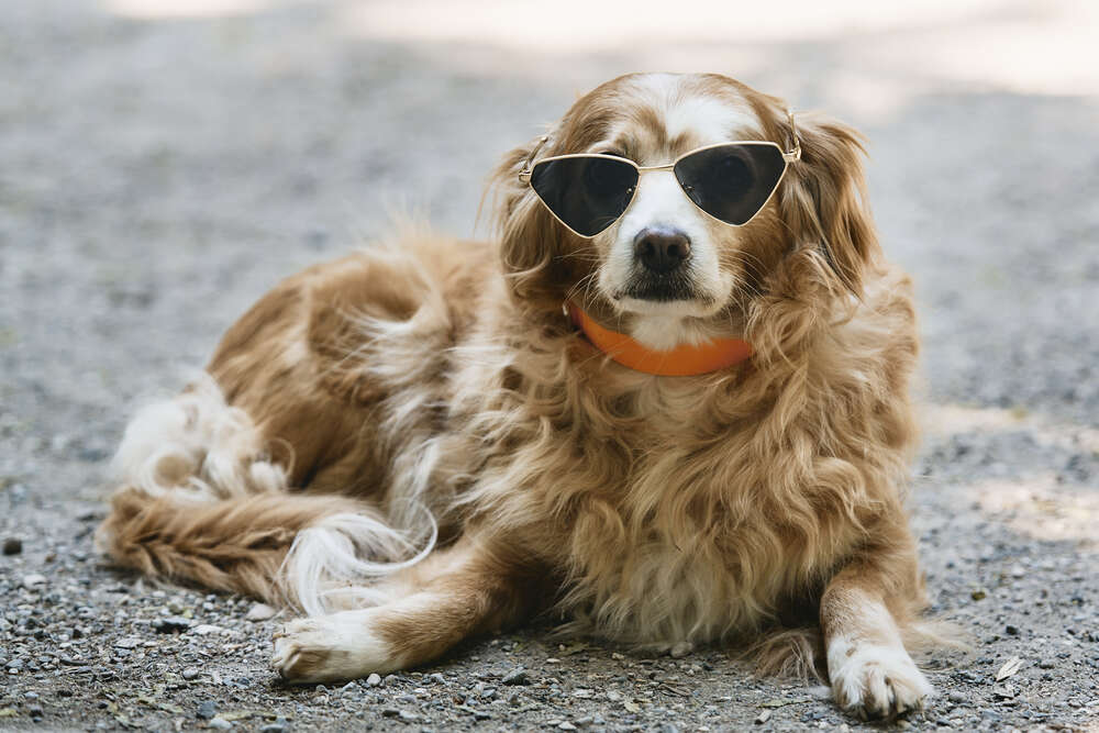 Bequem (Ingo Doerrie)