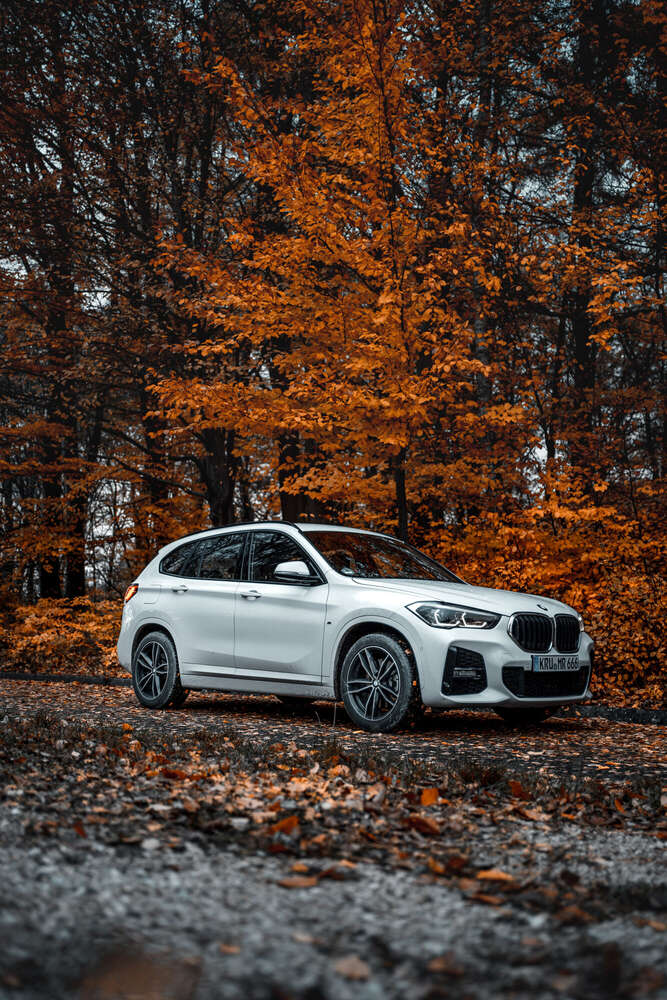 jk.p1ctures (jk.p1ctures)