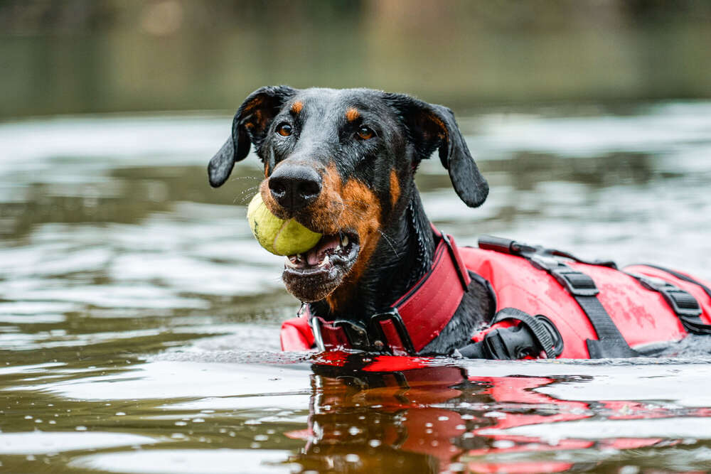 jk.p1ctures (jk.p1ctures)