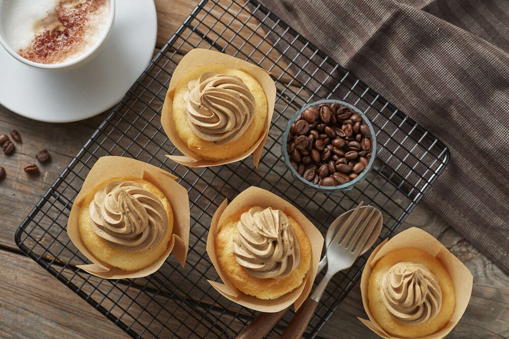 SPRINGER PHOTOGRAPHY * MOTION