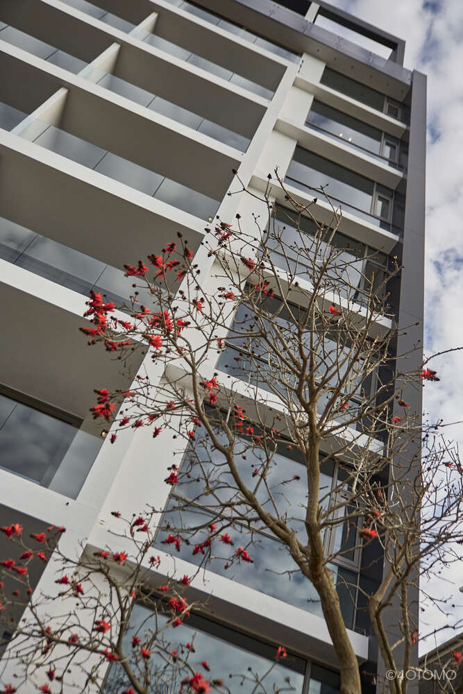 169 on Main Apartment Building (Mo Bassa)