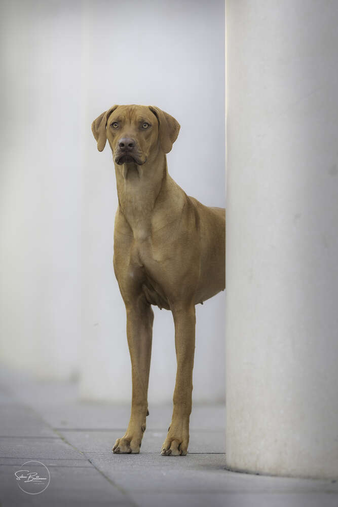 Sabine Buttmann Fotografie