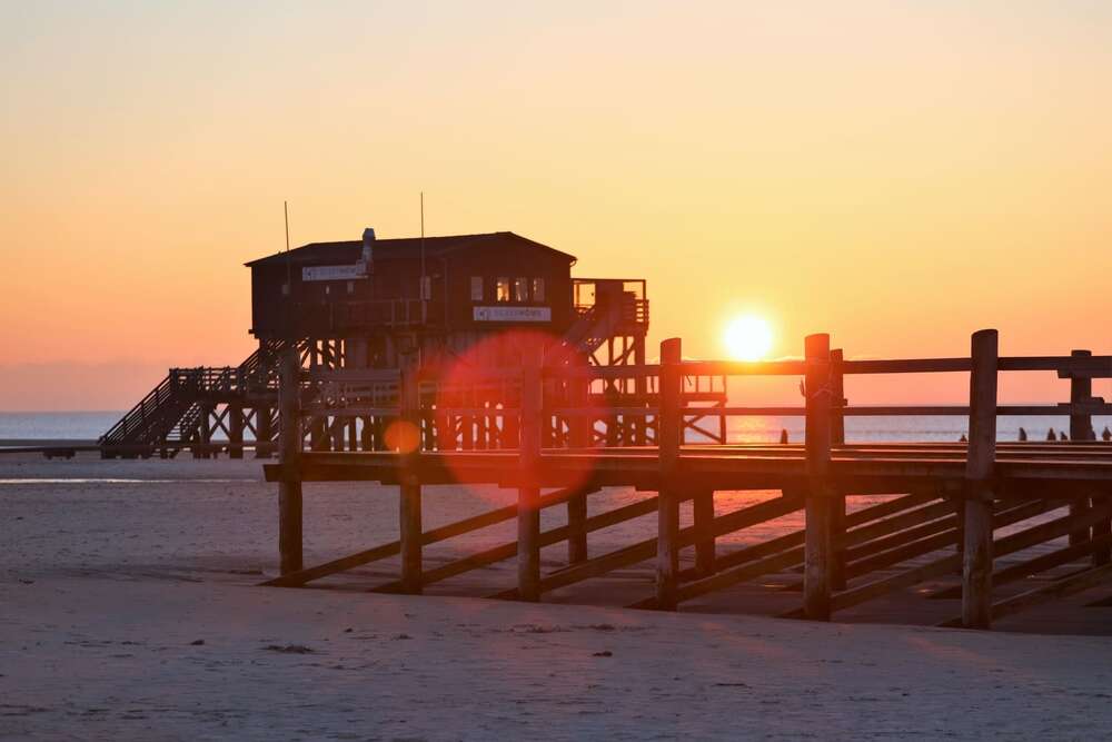 Medianautiker (Medianautiker)