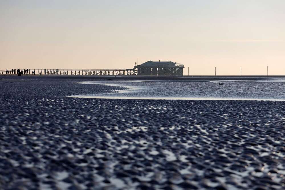 Medianautiker (Medianautiker)