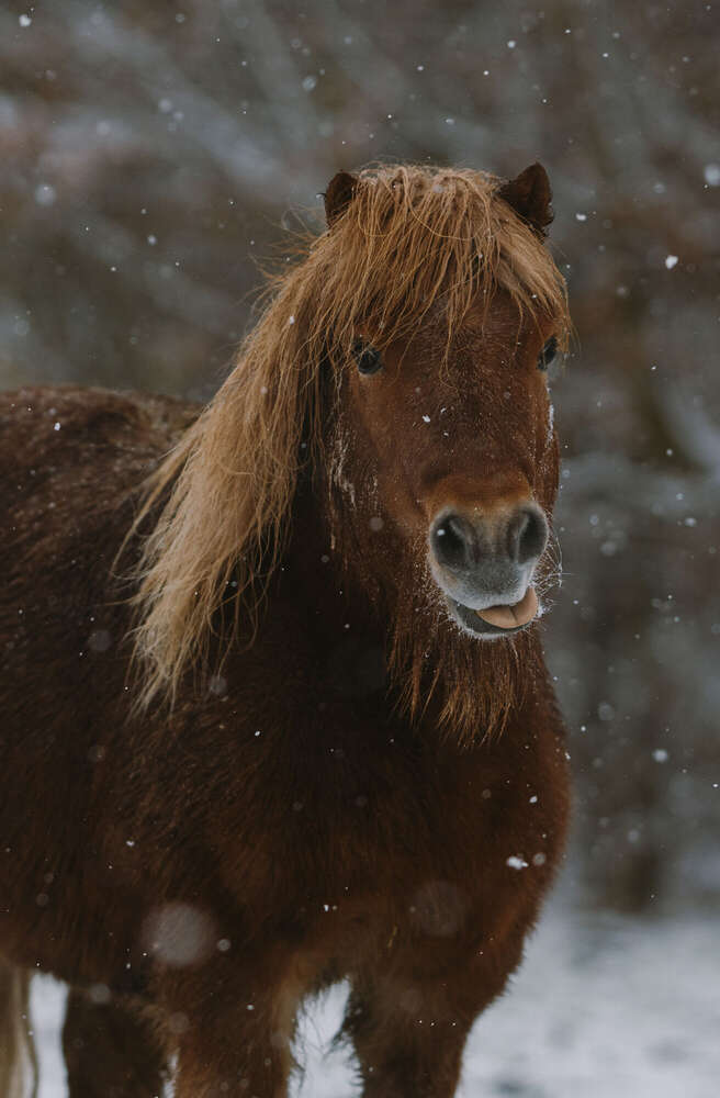 Melanie Timm (Melanie Timm)