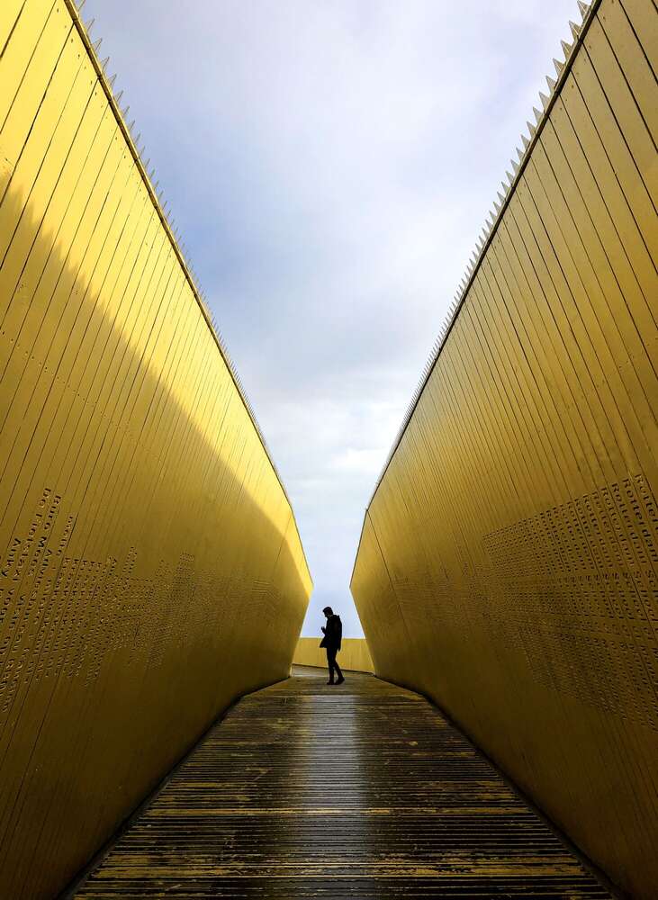 Van Anh Nguyen (Van Anh Nguyen)