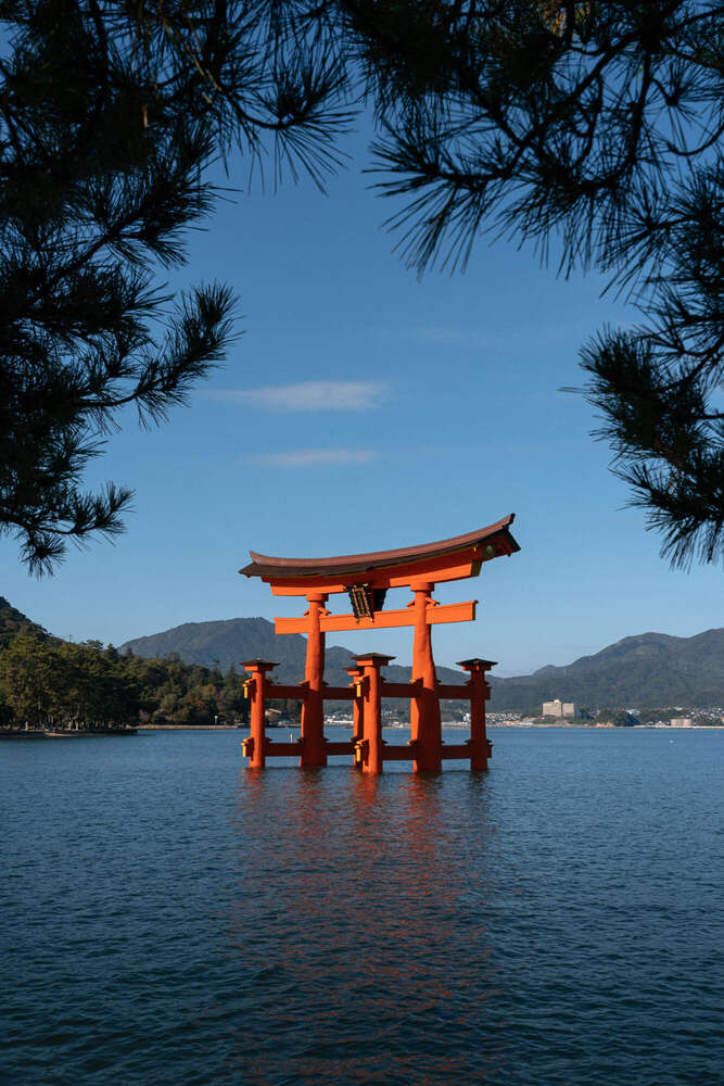 Van Anh Nguyen (Van Anh Nguyen)