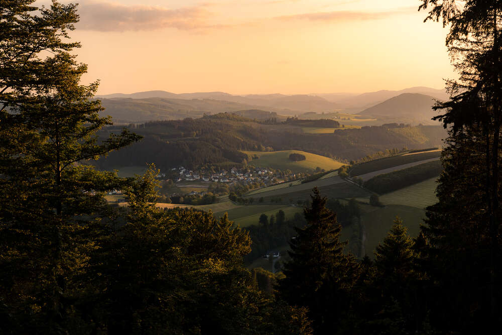 Joris Machholz (Joris Machholz)