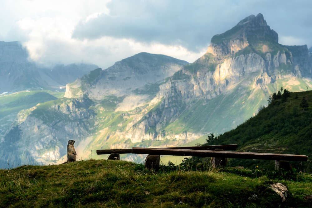 Joris Machholz (Joris Machholz)