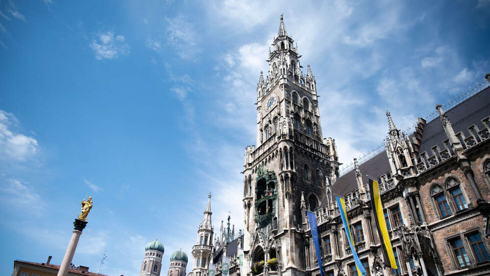 Maciej Polak (Maciej Polak)