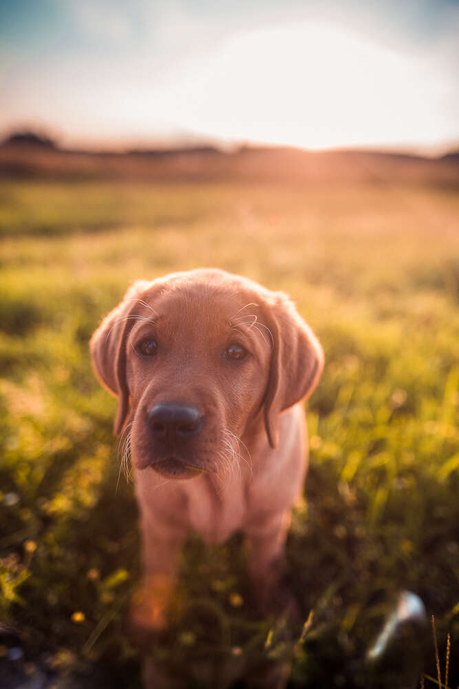 Beckerworks - Hochzeitsfotograf Gießen (Beckerworks - Hochzeitsfotograf Gießen)