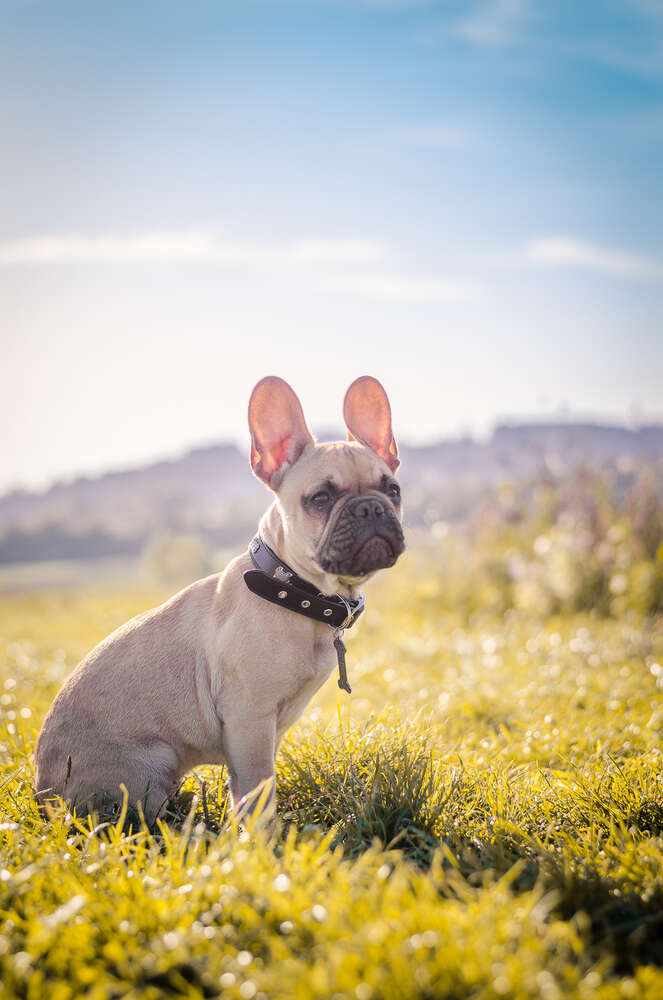 Beckerworks - Hochzeitsfotograf Gießen (Beckerworks - Hochzeitsfotograf Gießen)