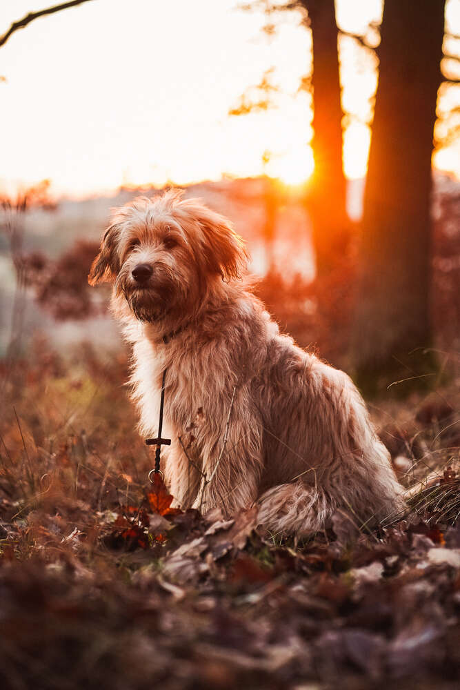 Beckerworks - Hochzeitsfotograf Gießen (Beckerworks - Hochzeitsfotograf Gießen)