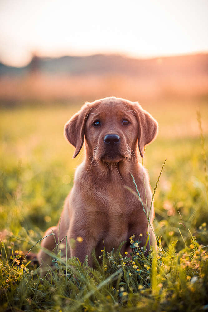 Beckerworks - Hochzeitsfotograf Gießen (Beckerworks - Hochzeitsfotograf Gießen)