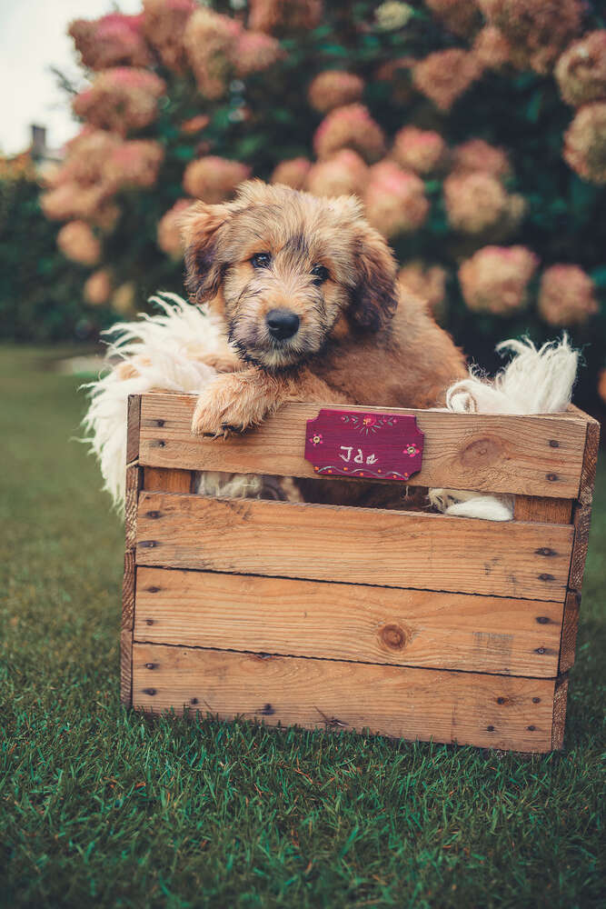 Beckerworks - Hochzeitsfotograf Gießen (Beckerworks - Hochzeitsfotograf Gießen)