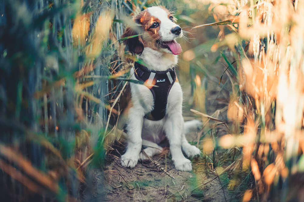 Beckerworks - Hochzeitsfotograf Gießen (Beckerworks - Hochzeitsfotograf Gießen)