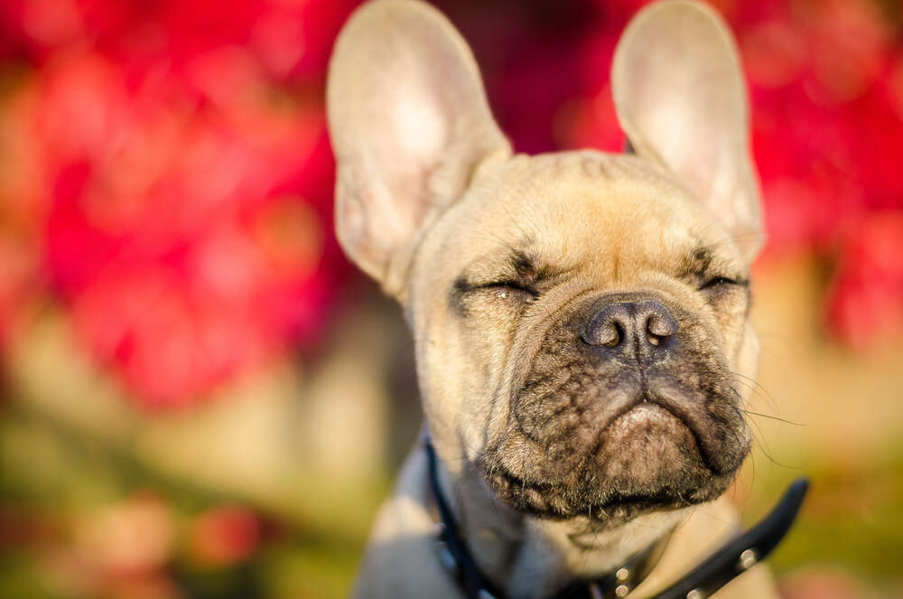 Beckerworks - Hochzeitsfotograf Gießen (Beckerworks - Hochzeitsfotograf Gießen)