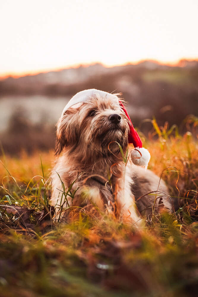 Beckerworks - Hochzeitsfotograf Gießen (Beckerworks - Hochzeitsfotograf Gießen)