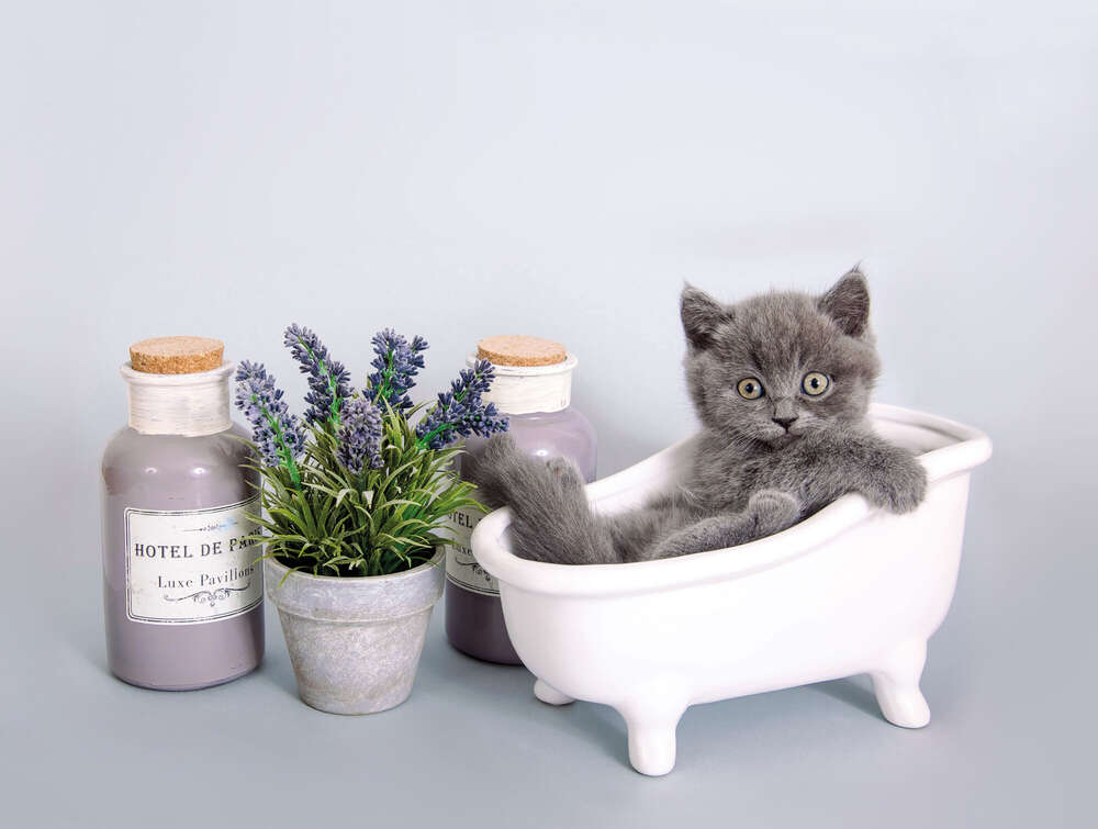 Trullafoto – Anja Kiebler Fotografie