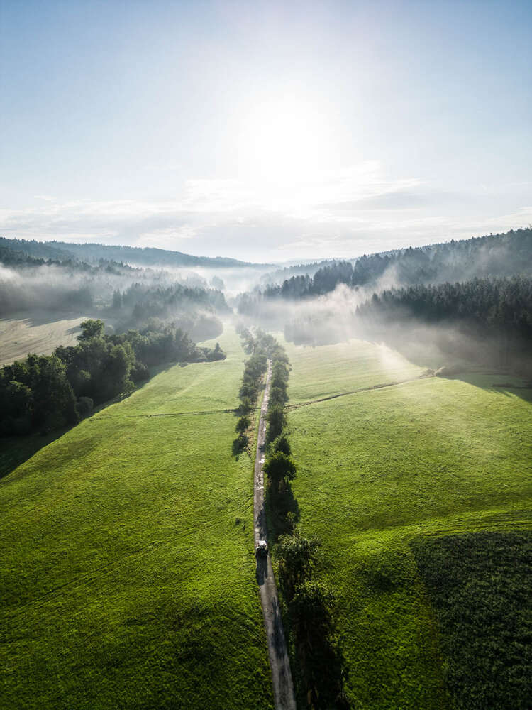 Silas Stein Photography