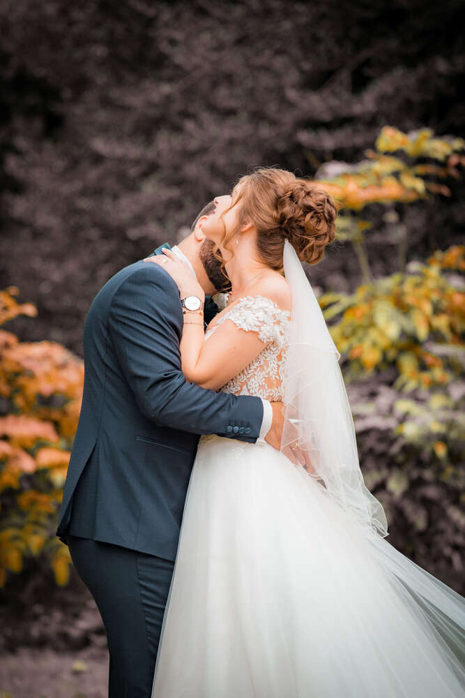 Liebe (Flash & Friends)