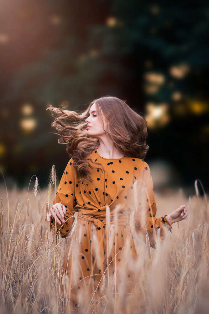 Lebendig (Flash & Friends)