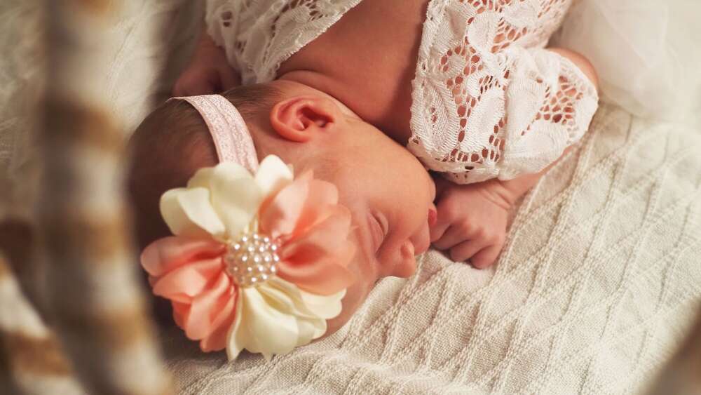 Viktorias Blickwinkel (Viktorias Blickwinkel)