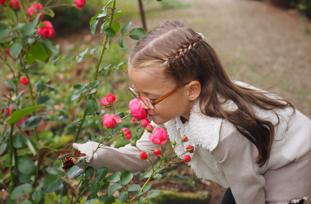 Viktorias Blickwinkel (Viktorias Blickwinkel)