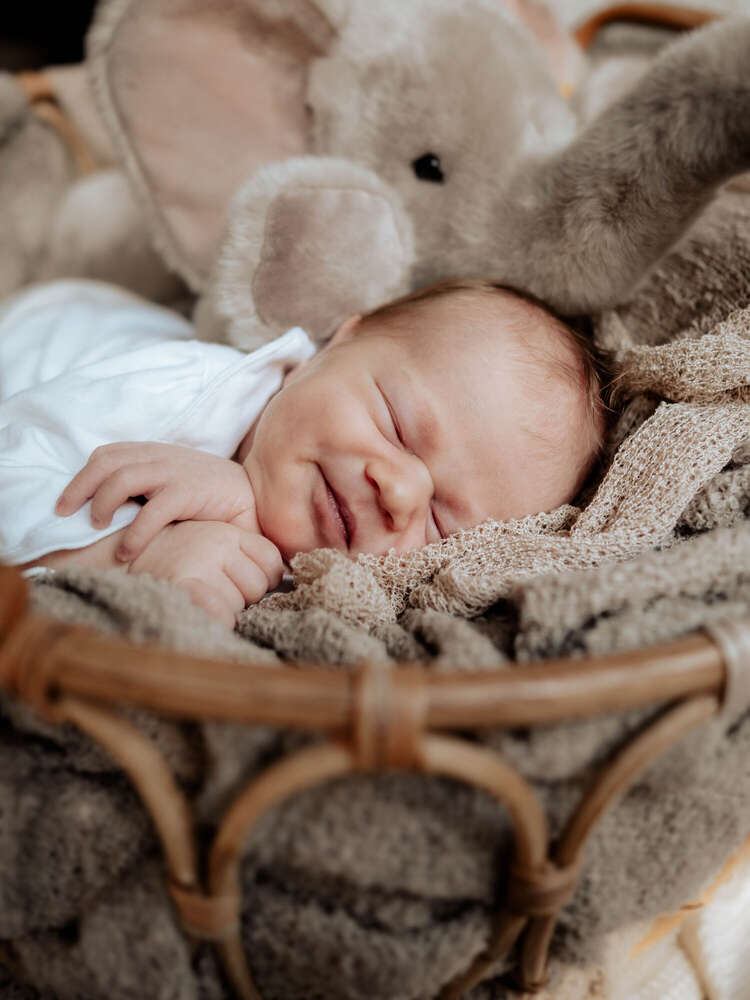 NEWBORN (Kim Hein Fotografie)