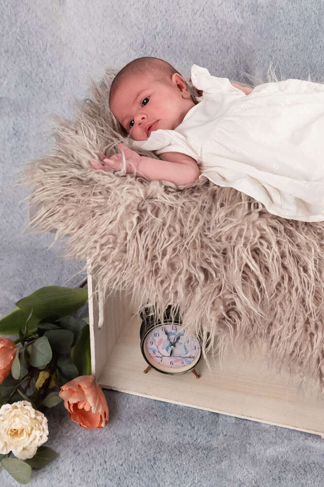 lisafoto.design (lisafoto.design)