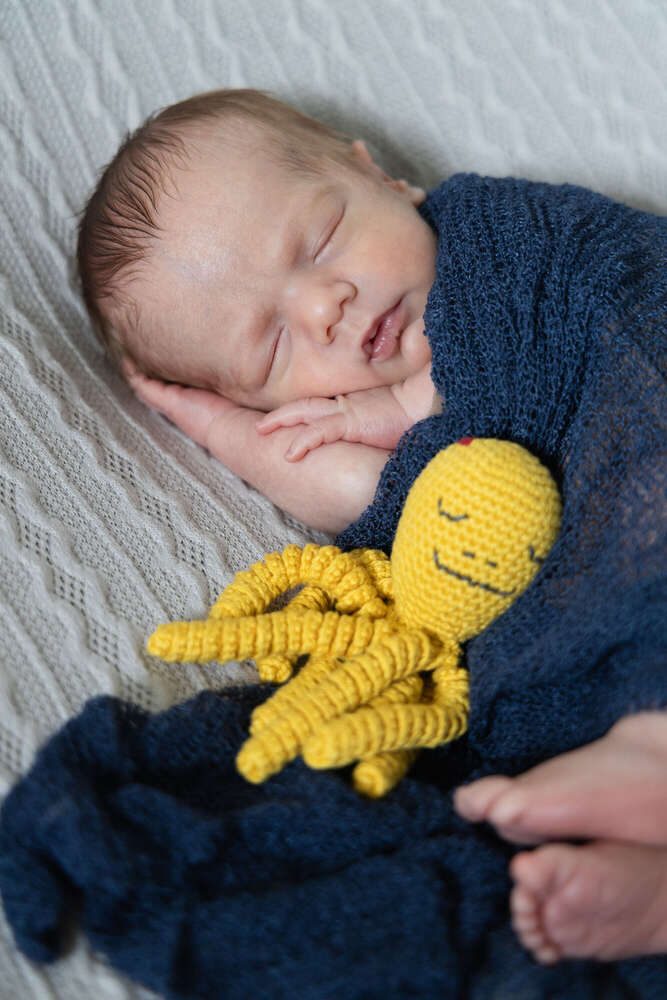 lisafoto.design (lisafoto.design)