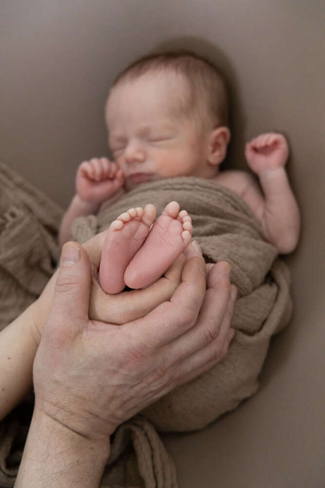 lisafoto.design (lisafoto.design)