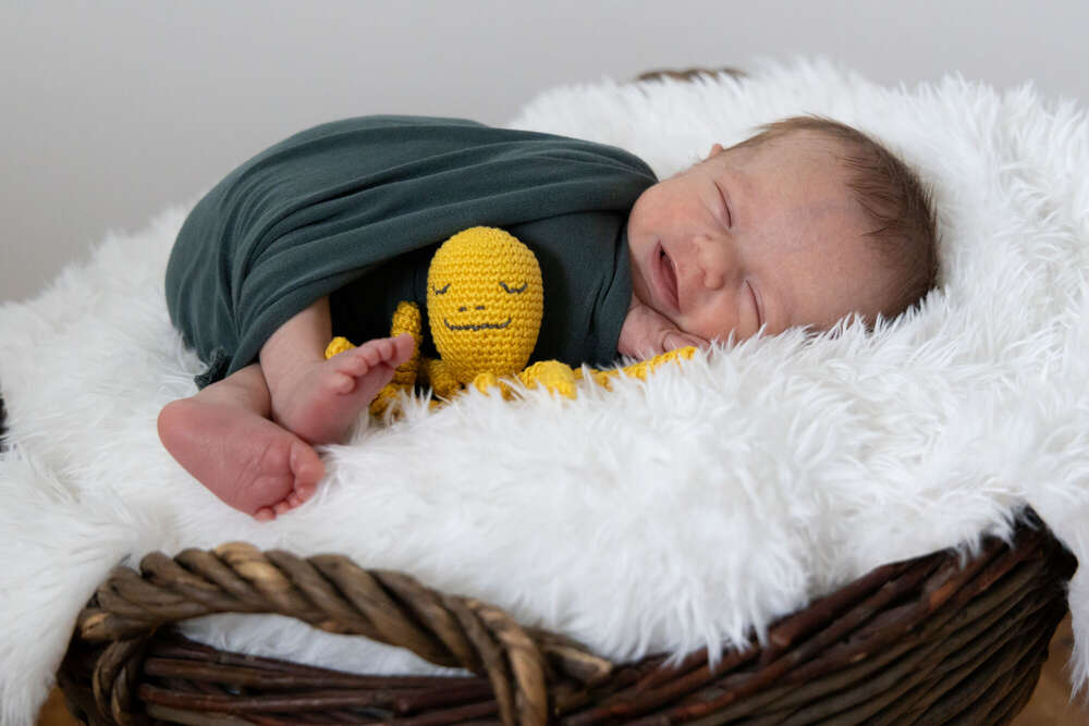 lisafoto.design (lisafoto.design)