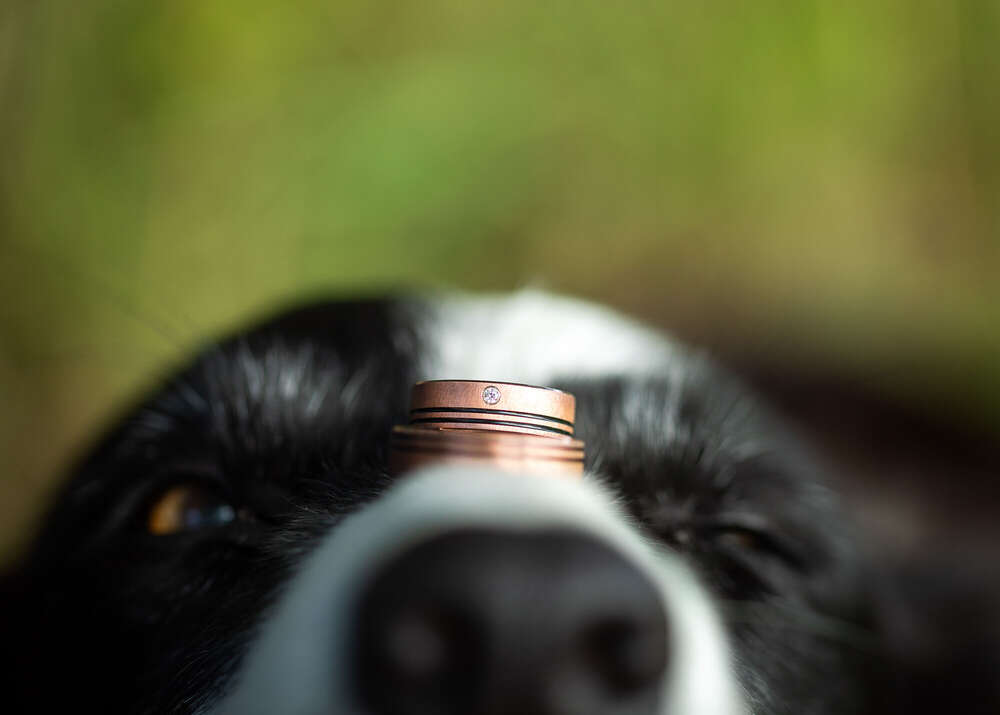 Lichtblicke Jula Welzk (Lichtblicke Jula Welzk)