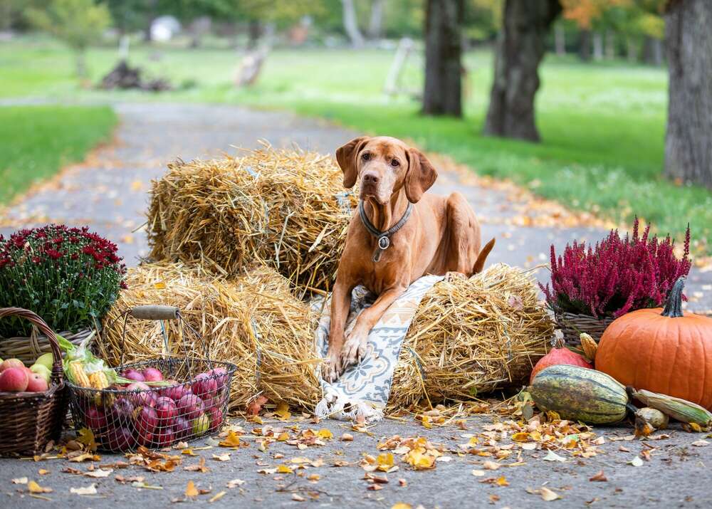 Lichtblicke Jula Welzk (Lichtblicke Jula Welzk)