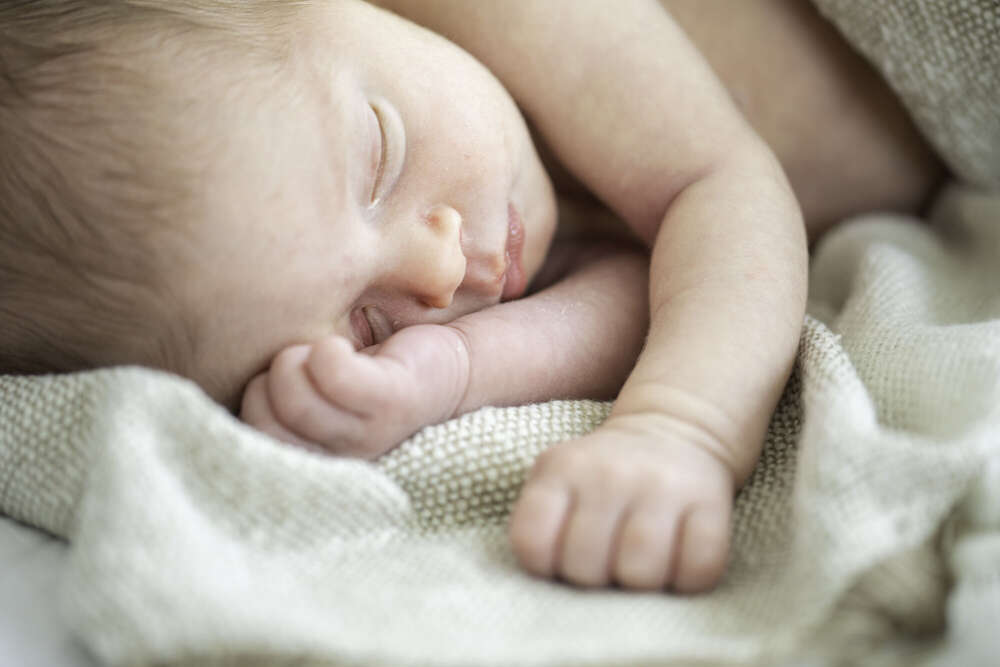 Lichtblicke Jula Welzk (Lichtblicke Jula Welzk)